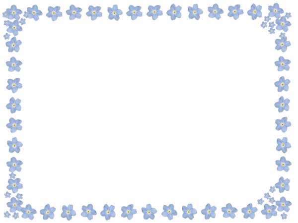 Рамка с незабудками для текста