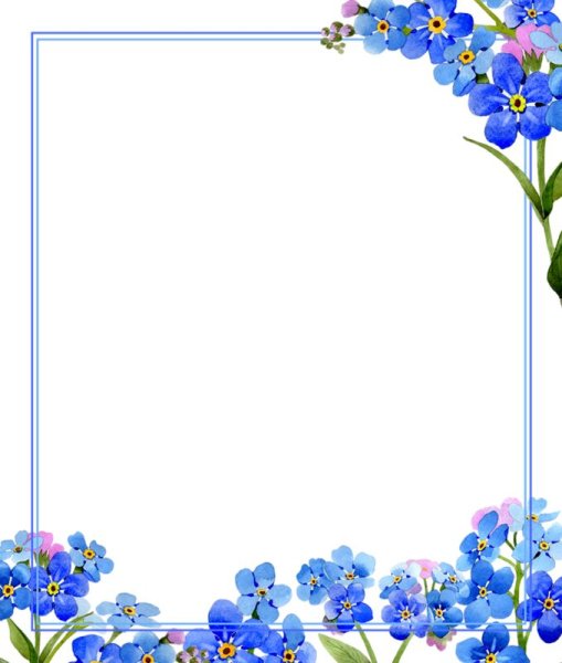 Рамка из незабудок