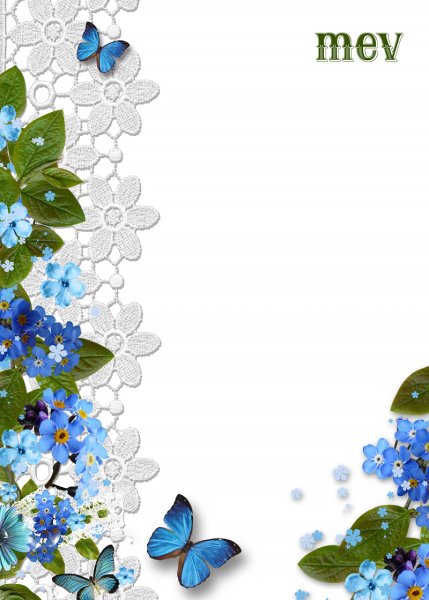 Рамка незабудки