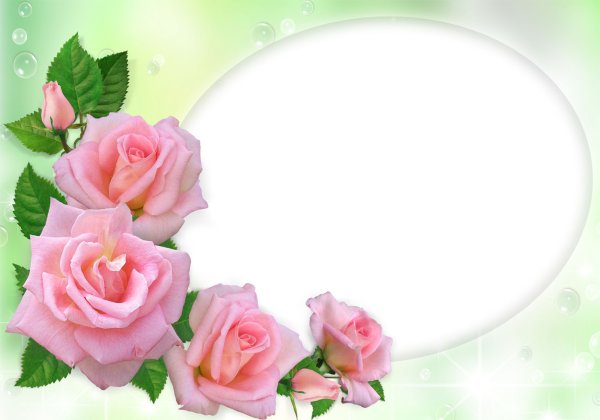 Рамка с розами на прозрачном фоне