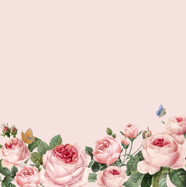 Розовые цветы для пригласительных