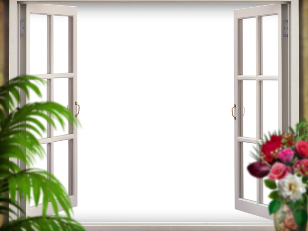 Открытое окно