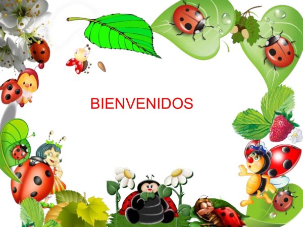 Рамка насекомые для детей