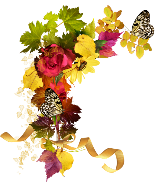 Рамка с осенними цветами