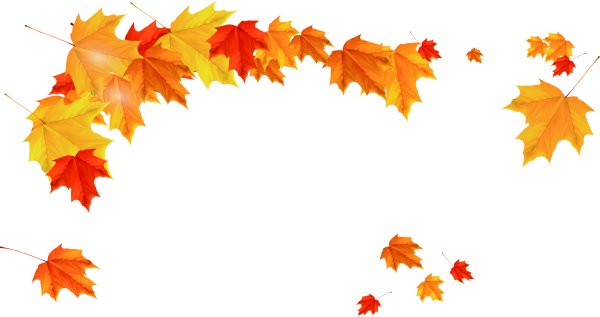 Осенняя листва на прозрачном фоне