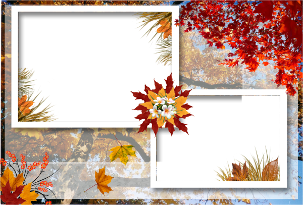 Осенняя рамка на прозрачном фоне