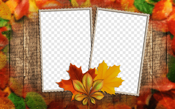 Рамки для фотографий осень