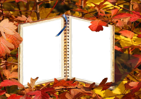 Осенние рамки для коллажа