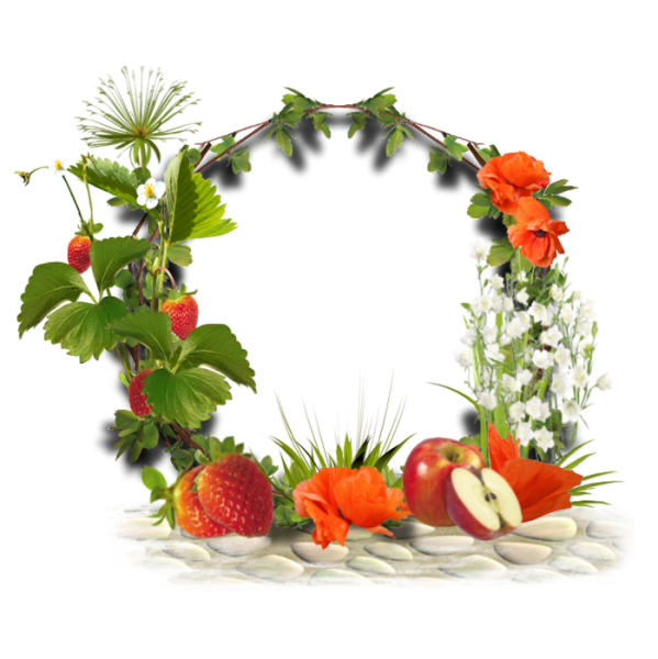 Рамка из овощей и фруктов