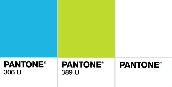 Pantone надпись