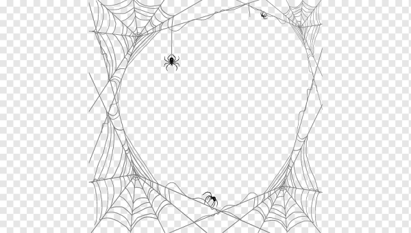 Рамка паутина