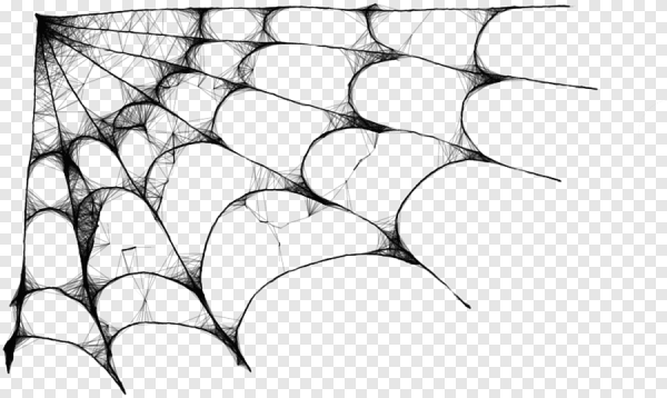 Паутина без фона для фотошопа