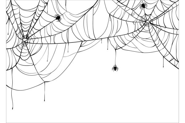 Паутина выпускает на прозрачном фоне