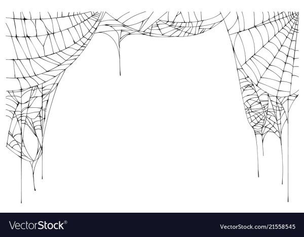 Рамка паутина без фона