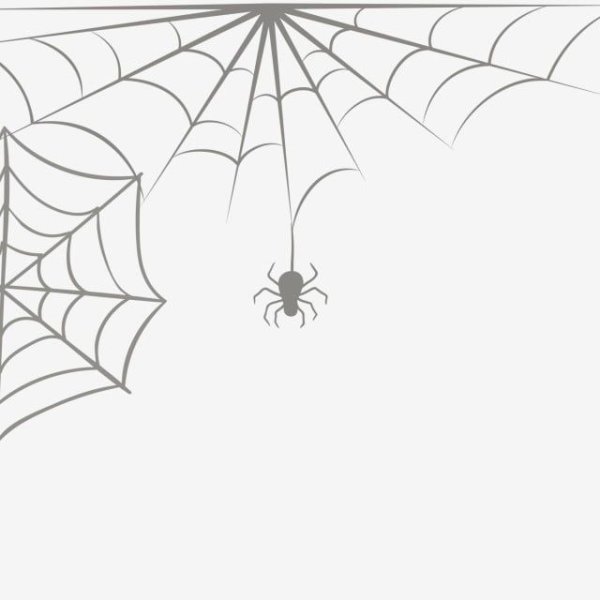 Свисающая паутина на прозрачном фоне