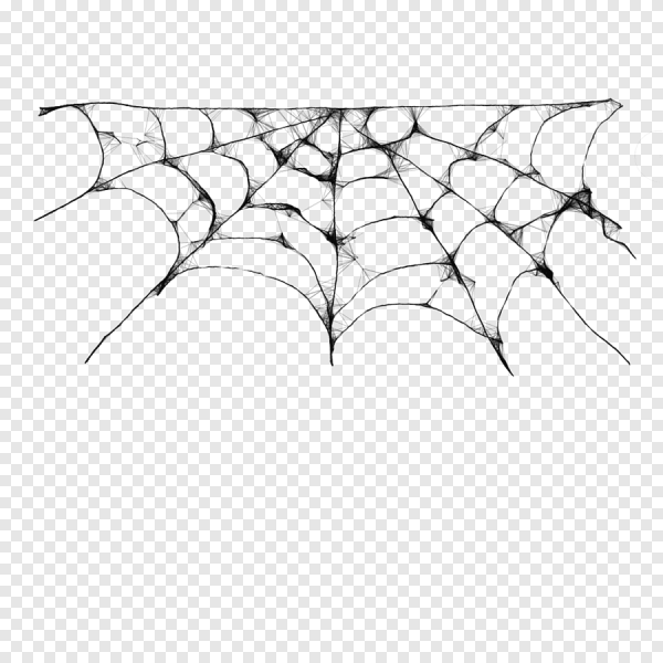 Паутина без фона для фотошопа