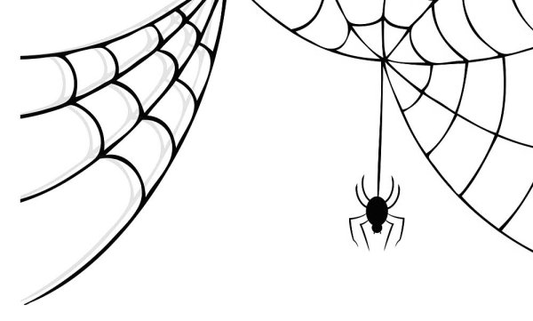 Паутина человека паука