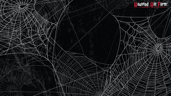 Паутина на темном фоне