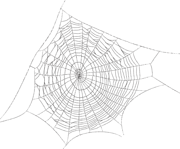 Паутина в углу