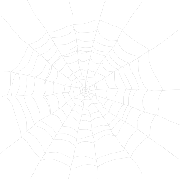 Паутинка на белом фоне