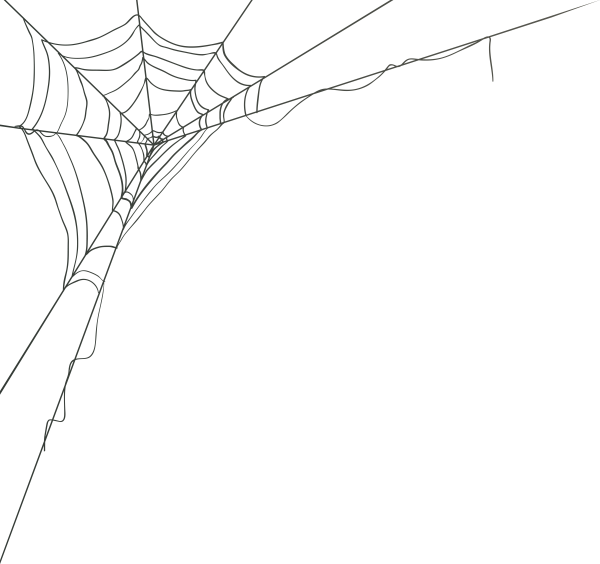 Паутина в углу без фона