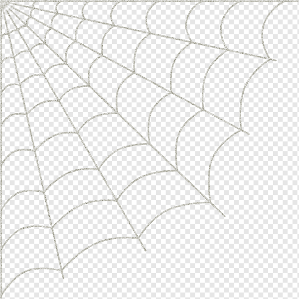 Белая паутина на прозрачном фоне