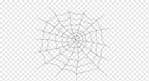 Паутина клипарт на прозрачном фоне