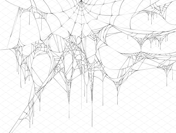 Свисающая паутина