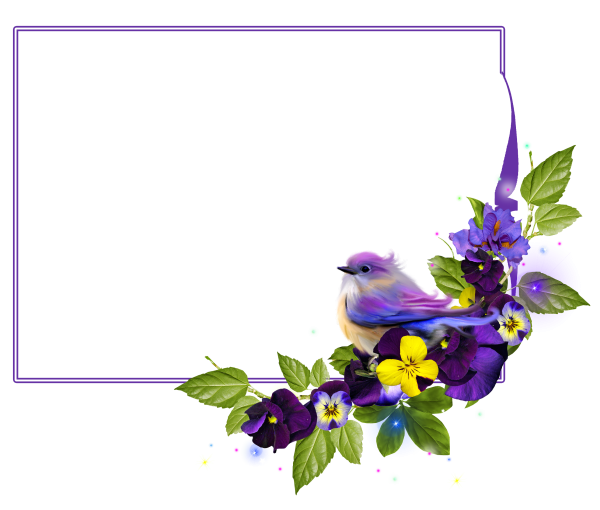 Рамка с птичками