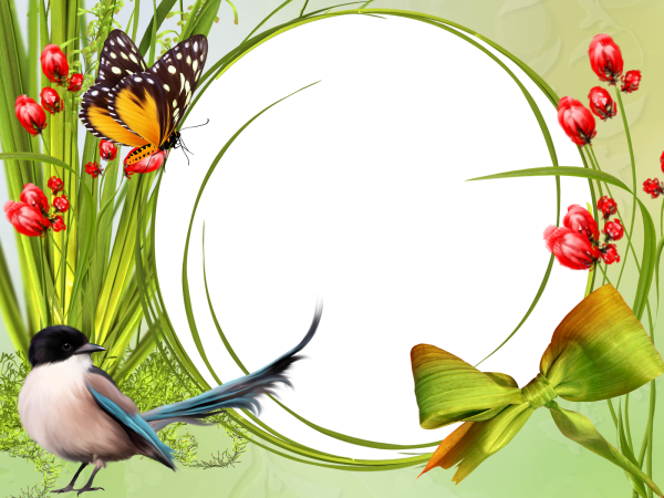 Рамка для текста природа