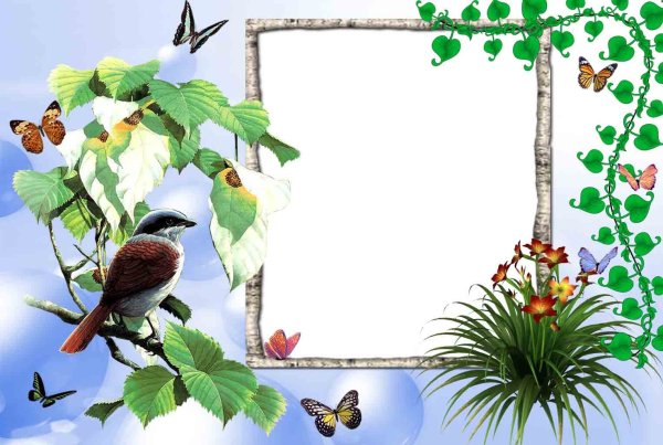 Рамка с птичками
