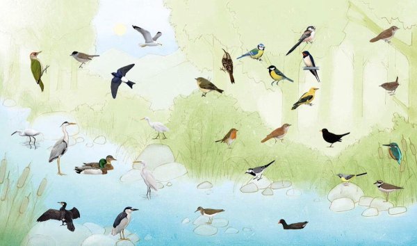 Перелетные птицы фон