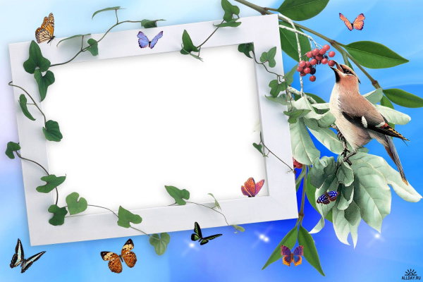 Фоторамка "птица"