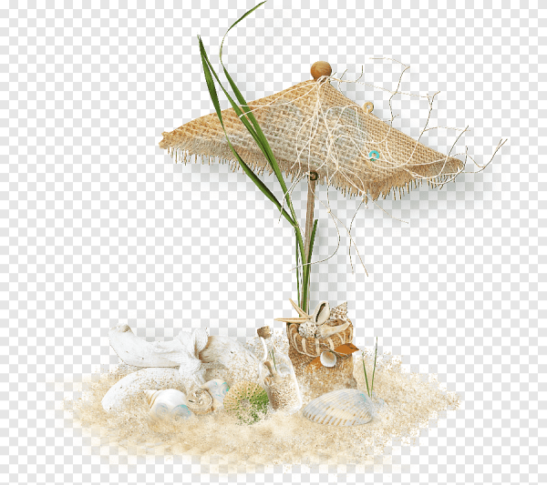 Морской декор на прозрачном фоне