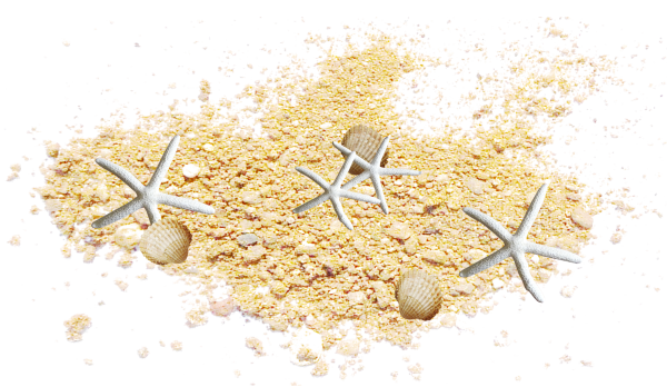 Морской песок на прозрачном фоне