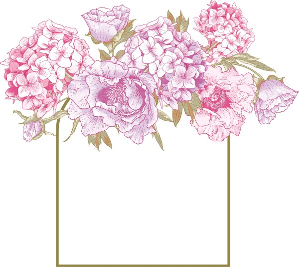 Пионы рамка