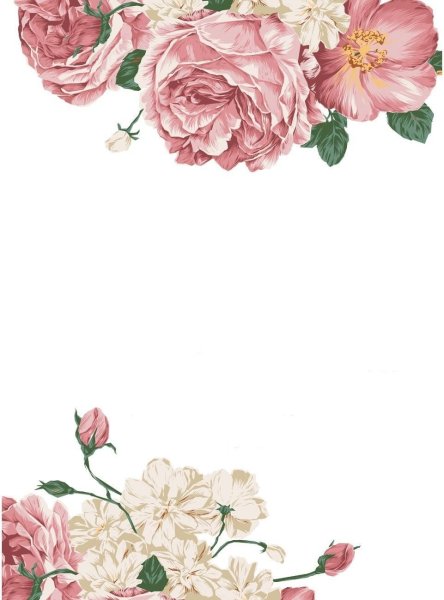 Акварельные пионы рамка