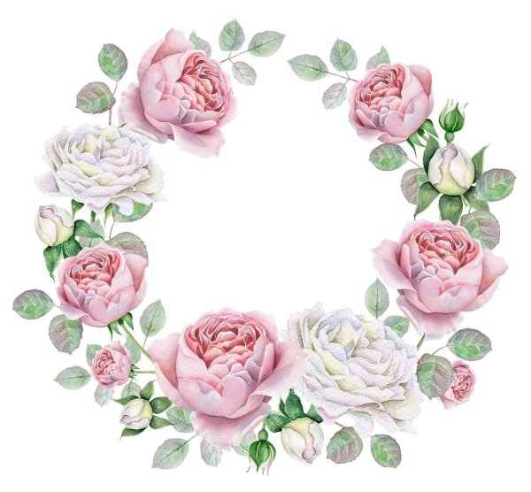 Круглая рамка из пионов