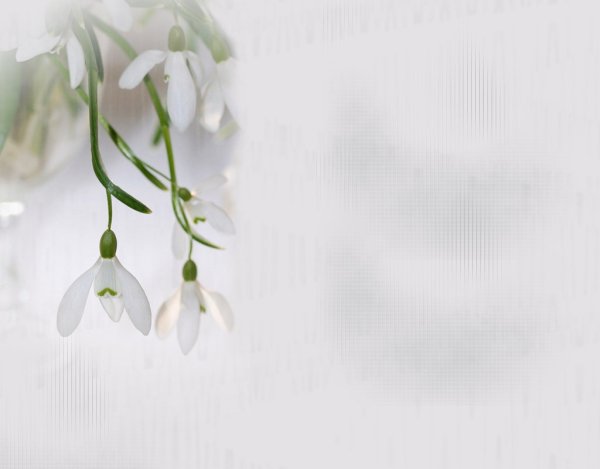 Фоторамка подснежники