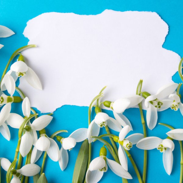 Фоторамка подснежники