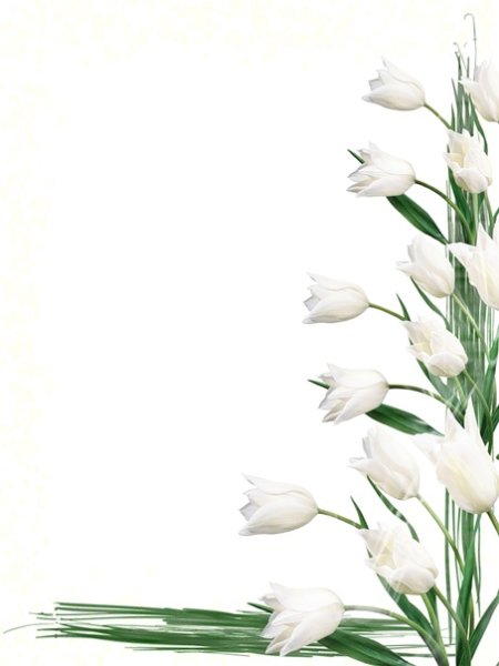 Рамка для текста подснежники