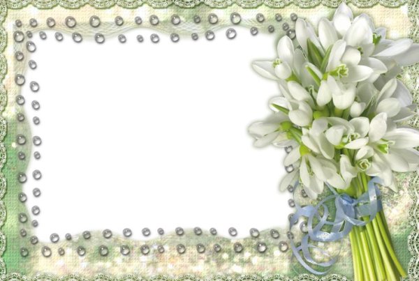 Рамка для фотошопа подснежники