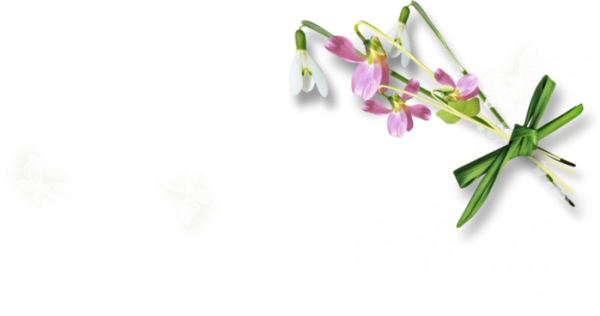 Уголки с подснежниками на прозрачном фоне