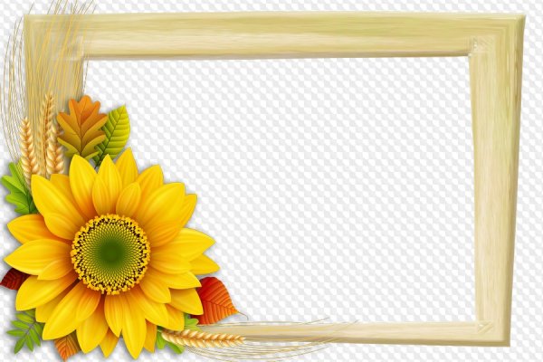 Рамка с желтыми цветами