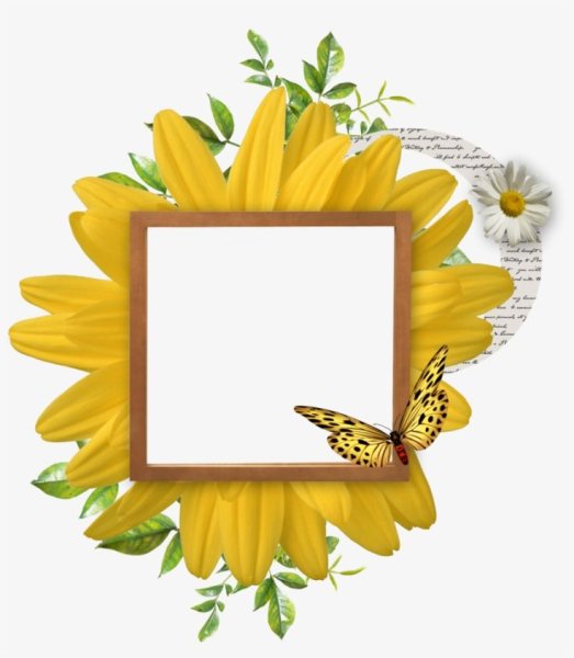 Фоторамка Подсолнухи