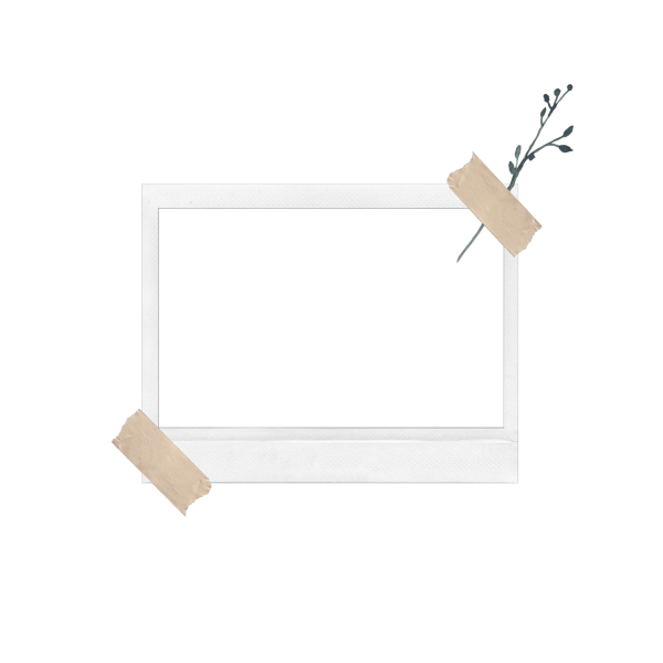 Рамка полароид вектор