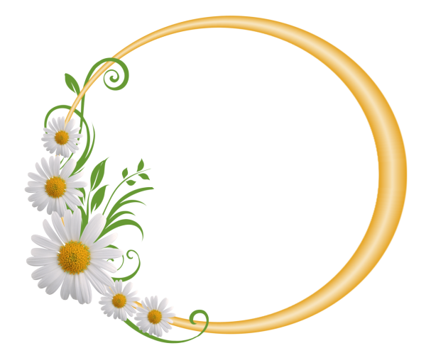 Рамка из ромашек