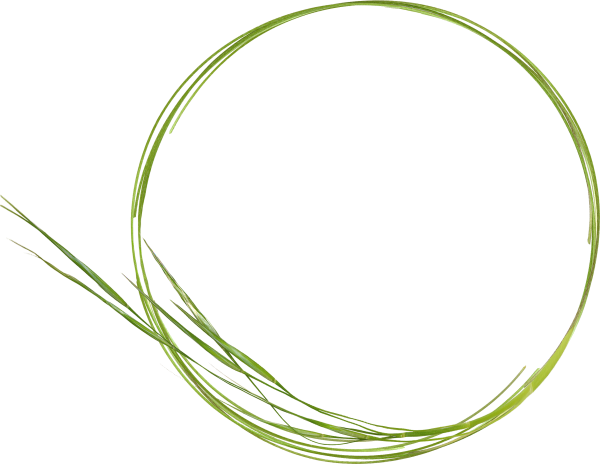 Зеленая круглая рамка