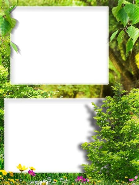 Рамки на тему природа