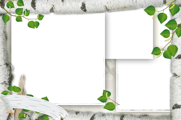 Фон для презентации береза